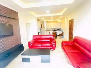 Fully furnished apartment for rent