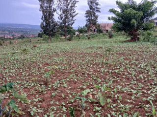 Plot for sale in busanza at a good price