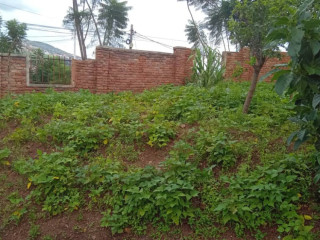 Kigali Land for sale in Kiyovu Rugunga