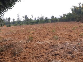 Industrial land for sale in Bugesera near airport of Rwanda