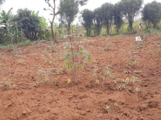 Residential plot for sale in Nyarugenge Kigali