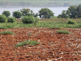 Land for sale in Bugesera near the airport of Rwanda