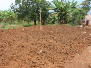 Residential Plot for sale in Bugesera near airport Hot deal