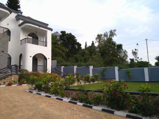 House for rent