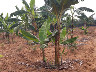 Land for sale in Bugesera Juru near airport of Rwanda hot deal view of lake