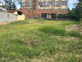 Nyarutarama plot for sale