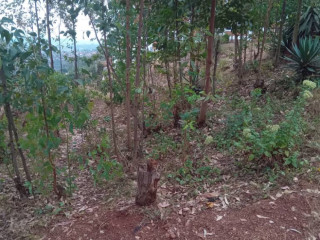 Rebero facing Town land for sale in Kigali