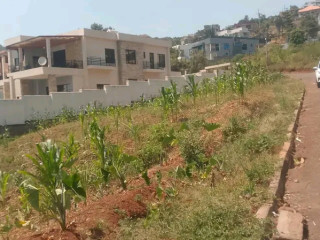 REBERO BNL Residential Plot for sale 160 million