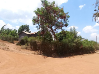 Plot for sale in rusororo