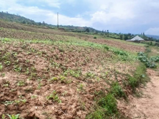 Plot for sale in rwamagana at agood sale