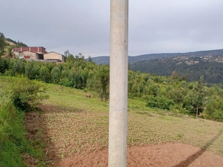 JABANA INDUSTIAL LAND FOR SALE