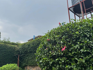 Ep 151 Gacuriro Gacuriro vision 2020 estate Very nice house for sale