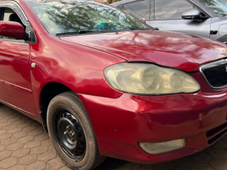 Toyota altis