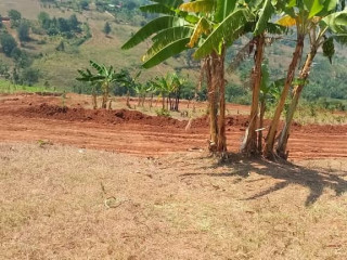 Plot for sale in ndera at a good price