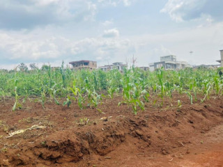 Rusororo near RPF plot for sale in Kigali