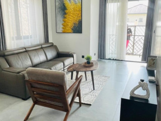 Kibagabaga nice furnished apartment for rent in Kigali