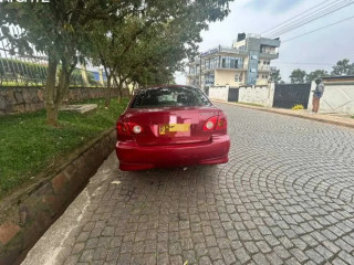 Sports Corolla