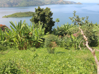 Land for sale in Karongi Rwanda Access on Lake Kivu