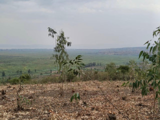 Bugesera Plots For Sale in Kanzenze