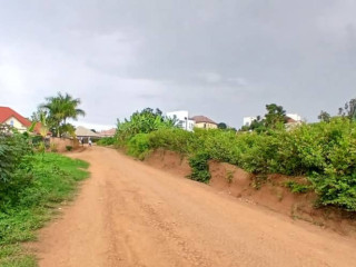 Plot for sale in rusoro at agoo place