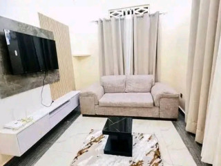 1bedroom fully furnished apartments for rent in good location