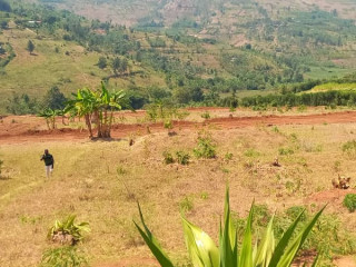Mukuyu ndera plot for sale