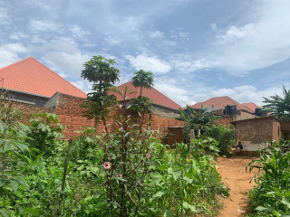 Ep 098 Masaka Masaka very biggest and cheapest plot for sale with 2 UPI.