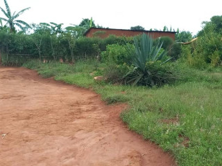 Plot for sale in nyamata at a good price