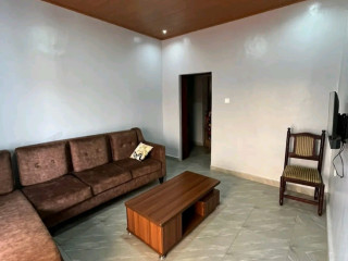 Furnished apartment for rent in kacyiru