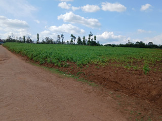 Plot for sale in rusororo at a good price