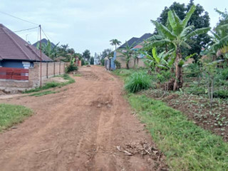 Plot for sale inbusanza at a good price