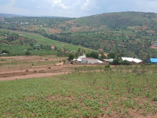 Plot for sale at rusororo