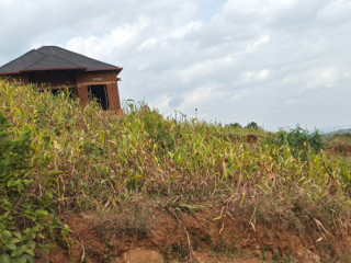 Ikibanza tugurisha 10M Bumbogo musave