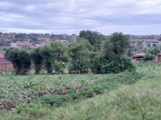 Plot for sale in busanza at a good price