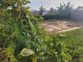 Residential plot for sale near the road and good neighbors.