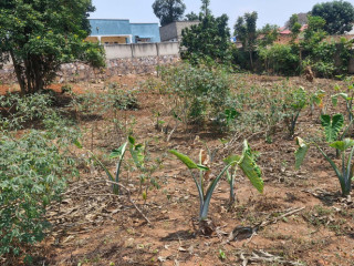 Kigali Plot for sale in Kanombe Rwanda near Airport of Kanombe