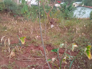 Kigali Land for sale in Rebero facing Nyamirambo side