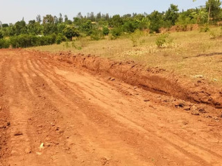 Ndera mukuyu plot for sale