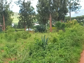 Plot for sale in bugesera