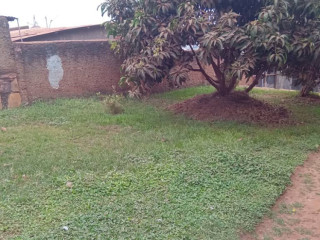 Land with an old house for sale