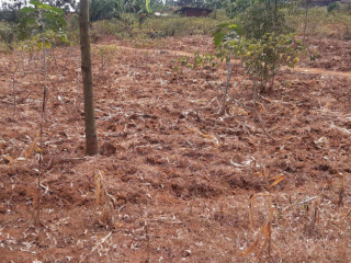 Industrial land for sale in Bugesera near airport of Rwanda