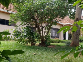 Kigali Fully furnished house for rent in Kacyiru