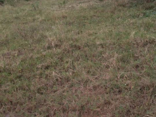 Busanza plot for sale in Kigali