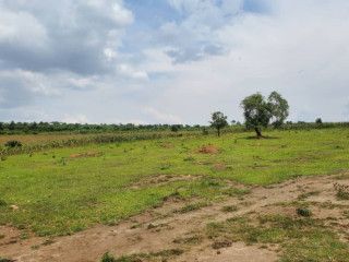 Karangazi Big Land For Sale in Nyagatare