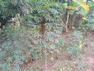 Kigali Land for sale in Nyamirambo