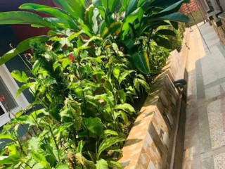 Kigali fully furnished apartment for rent in Kiyovu