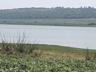Bugesera Land For Sale in Rilima