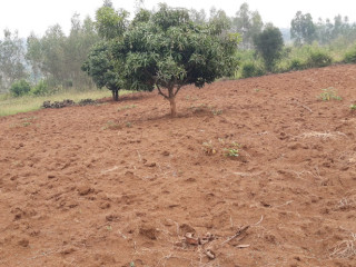 Industrial land for sale in Bugesera near airport of Rwanda