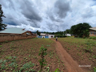 Kinyinya plot for sale