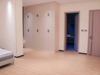 Kiyovu very nice new luxurious house for sale with swimming pool in Kigali